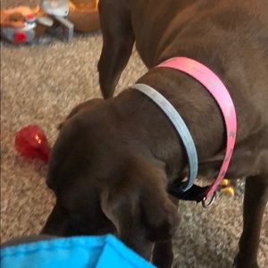 Meet your Posher, Robert diaz